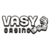 Vasy