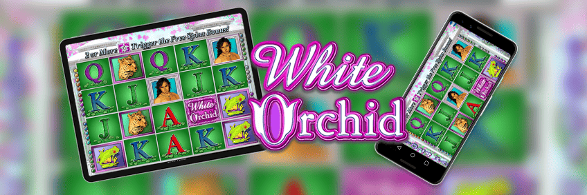 mobile version white orchid